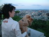 Nori Simon Montreal Mount Royal lookout