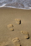 Cape Cod starnd homok lbnyom