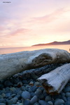 Vancouver Island sunset Pacific Ocean