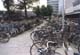 Bicycles at the Central Station Amsterdam