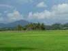 Langkawi Countryside