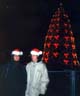 Christmas tree in front of the White House